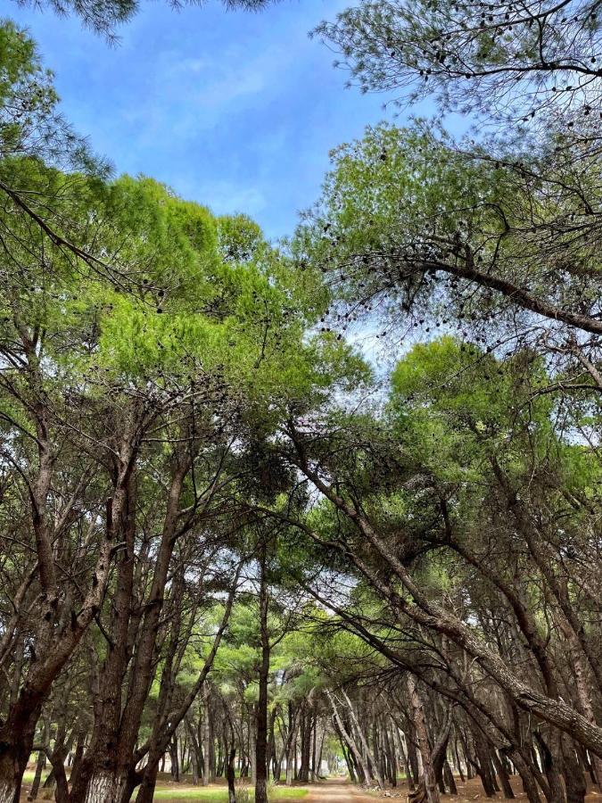 Villa Roel 1 Apartments Nr 88 Vlorë Екстериор снимка